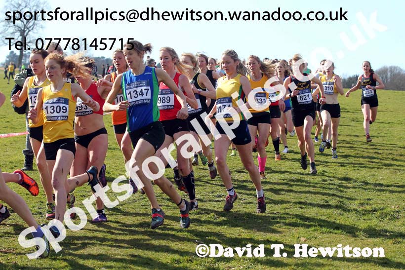 Senior Womens Inter Counties Championships,  Cofton Park, Birmingham. Photo: David T. Hewitson/Sports for All Pics